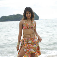 Sanjana Galrani hot in Mugguru pictures | Picture 47988